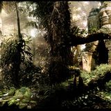 psyprog mix