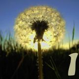 DIE EINEN - reduction 1