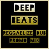 DeepBeats promomix Nov12 - REGGAELIZE DUB