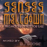 Senses Meltdown