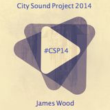City Sound Project 2014 - James Wood
