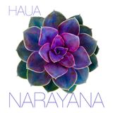 HAUA "NARAYANA"
