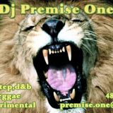 IRIE STEP_REGGAE/DUBSTEP