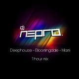 djnepro - 1HOUR MIX (Deephouse - Bloomingdale - Miami)