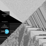 NoiseTape 25 - Jungle Punishment - Perceptron
