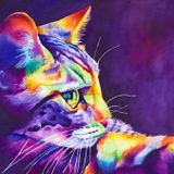 synaptogenesis v - meow mix