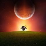 Maarten Metz - PADIASEKA 014 (Special Prog Trance Edition)