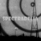 Spectradelia Mix