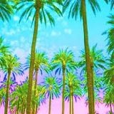 Funky Beach Disco Vibes