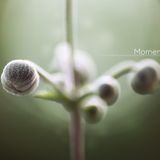 #356: Planet Boelex / Moments