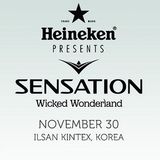 Kaiserdisco - Live @ Wicked Wonderland Sensation (South Korea) 2013.11.30.