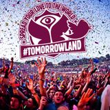 Dave Clarke @ Tomorrowland 2013 (De Schorre - Belgium) (28-07-2013)