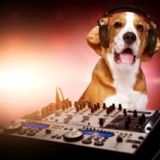 RNB XCLUSIVE LOVERS MIX