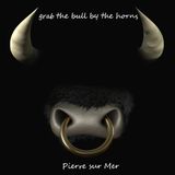 Grap the Bull by the Horns