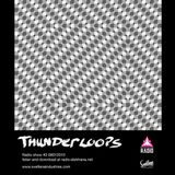 Thunderloops #3 08012010