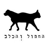 Graziano Raffa @ TheCat & TheDog, Tel Aviv - 06/12/2013