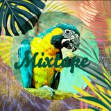 Indiana Mixtape #34 - 04 2016
