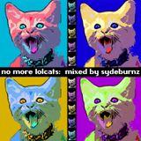 No More Lolcats