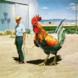 Phly - Texas Turbo Rooster Mixdown