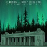 DJ Iridium - Trippy Gorky Park (Live @ Gorky Park 18-07-10) MD-1