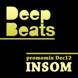 DeepBeats promomix Dec12 - INSOM