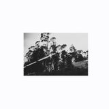 PROGRAM N° 506 (Th4 Season 2014 ) Black POP / Neo Wave / Minimal Dance / Black house
