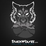 Wiwek - Live @ EDC Las Vegas 2015 - 20.06.2015