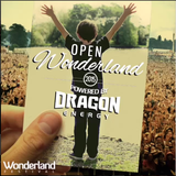 Ryan Selesnik - Open Wonderland