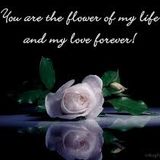 For you aking mahal