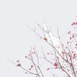 UXO - Autumn Crackles _ Xclusive mix