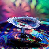 Serendipity of the Senses