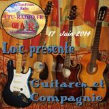 Guitares et compagnie 17 Juin 2014