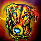 Bortrex - BiG DoG