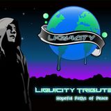 Liquicity Tribute #7 Hopeful Paths of Peace
