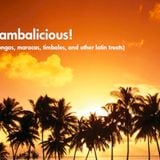 Sambalicious!
