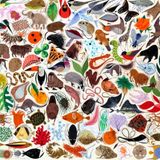 Reverberation #149