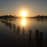 Global Eclectics: Volume 1