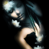Dreamtime verse 2 compiled by Zidroh