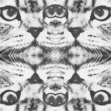 SickedelicS - LSD KITTEN FACTORy...MIX