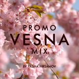VESNA Promo Mix