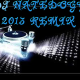 2013 remix DJ Natedogg