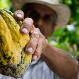 Alter-Nativo Latino: Colombia