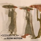 SEEMANTICA with SLOW MOTION