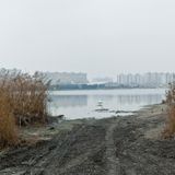 Detlef Dakar Late Winter Mix