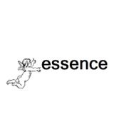 Essence 10.04.13