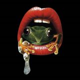Dj Frogg - Les Aventures de l'Homme Grenouille