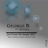 George B (Dj Hoboe)_June Promo Mix Sampler 2012