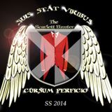 Scarlett Hunter's Summer Solstice Mix 2014