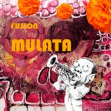 Fusión Mulata 3