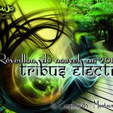 Happy New Year Mix 2015 @ Tribu Electro